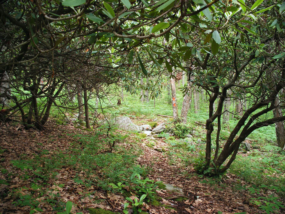 Click to access High Resolution image