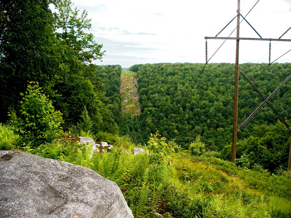 Click to access High Resolution image