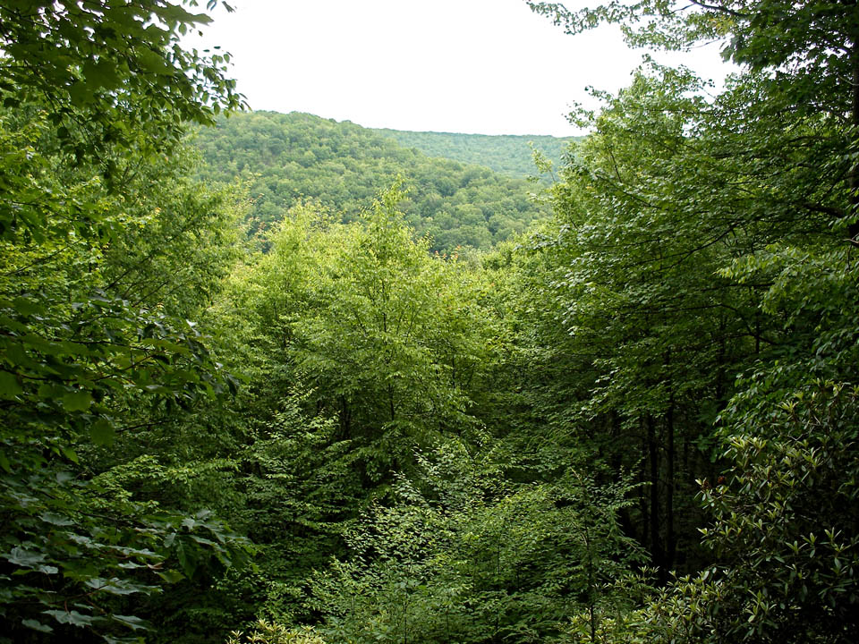 Click to access High Resolution image