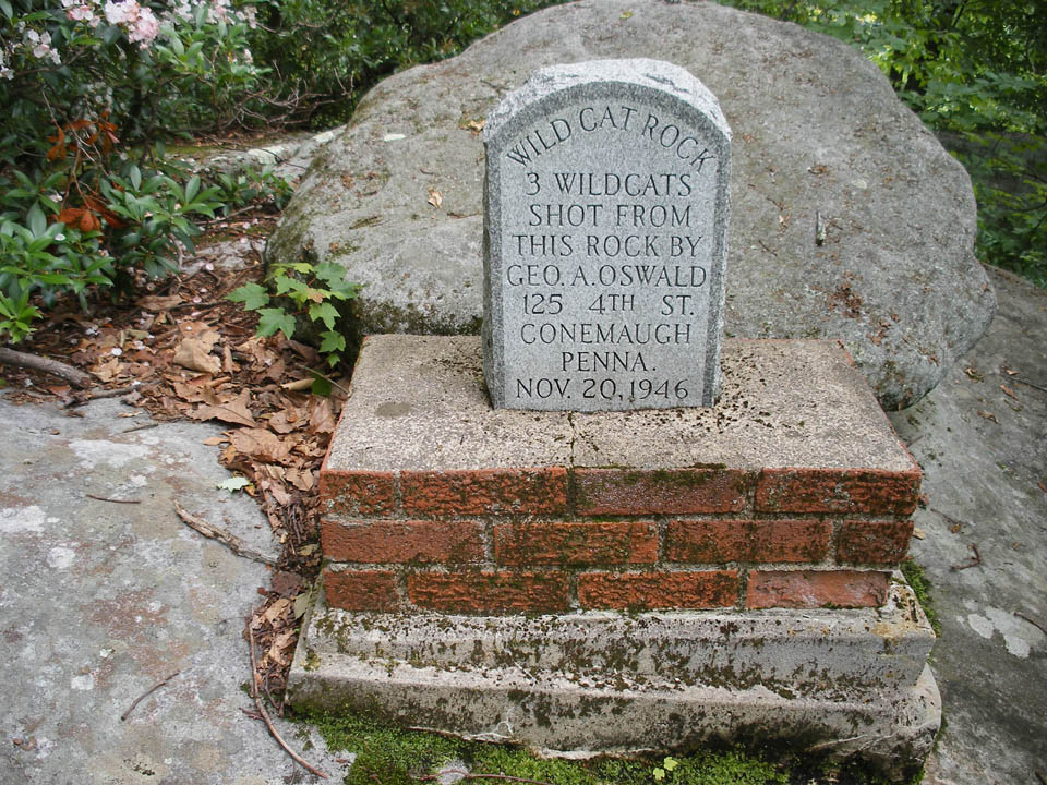 Click to access High Resolution image