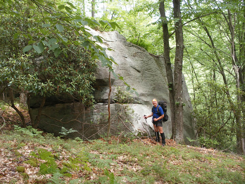 Click to access High Resolution image