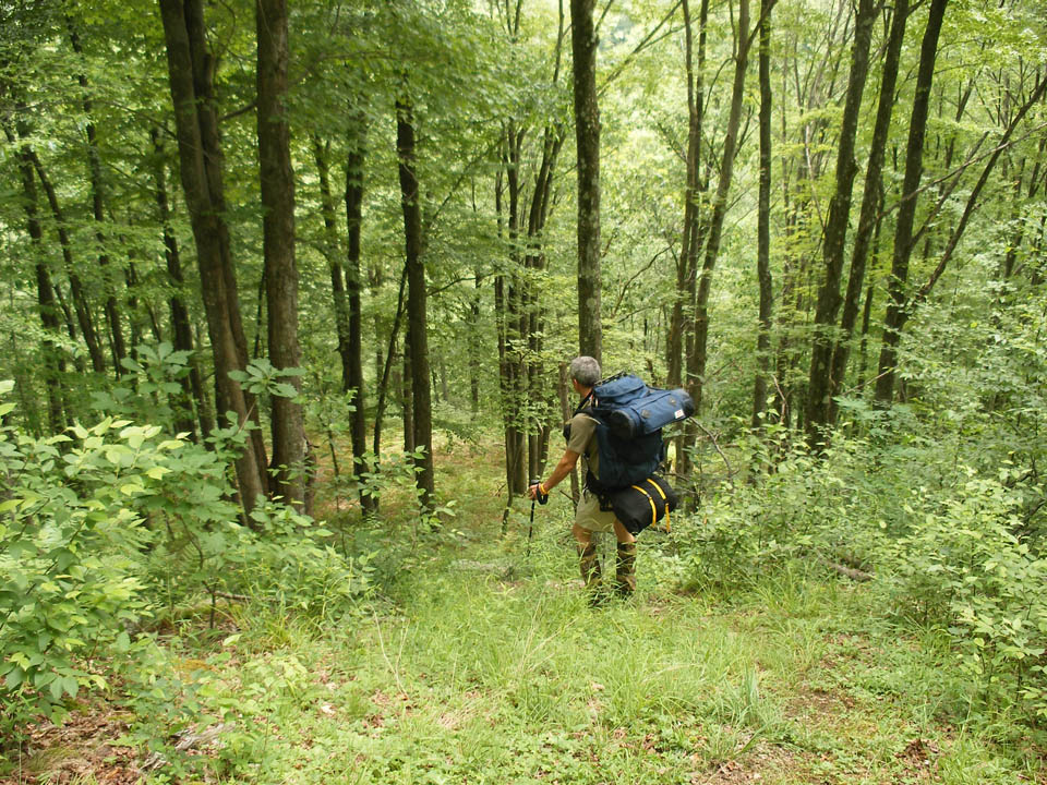 Click to access High Resolution image