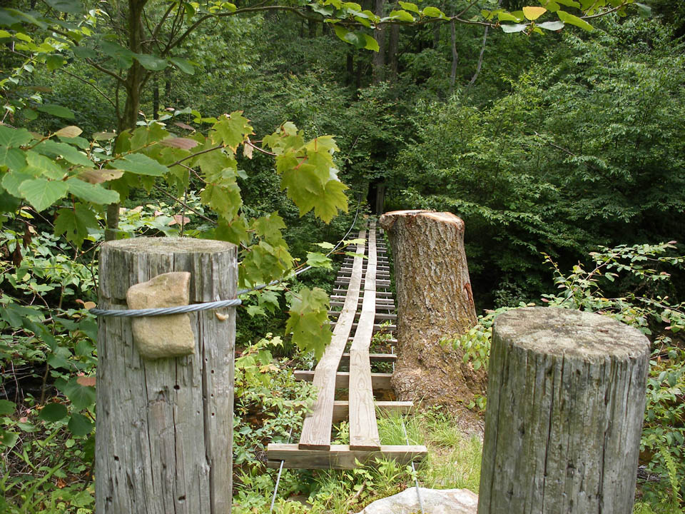 Click to access High Resolution image