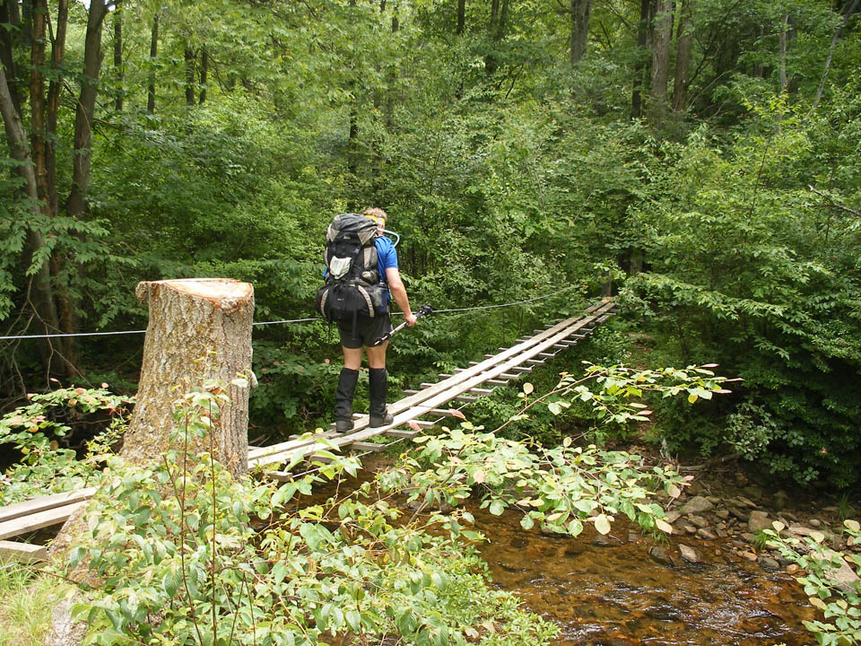 Click to access High Resolution image