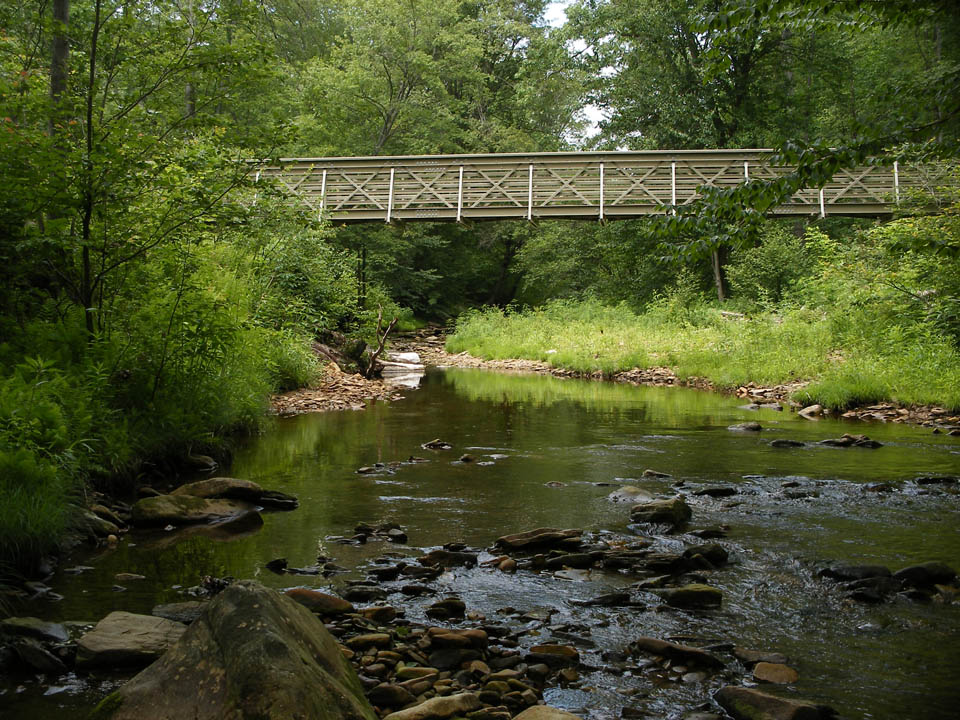 Click to access High Resolution image