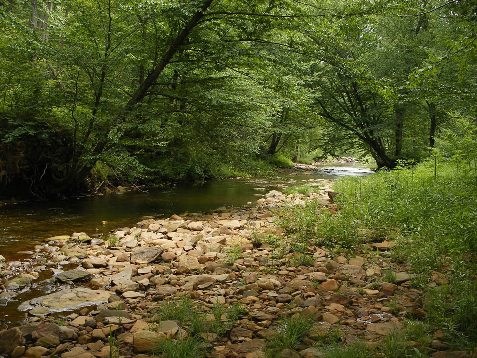 Click to access High Resolution image