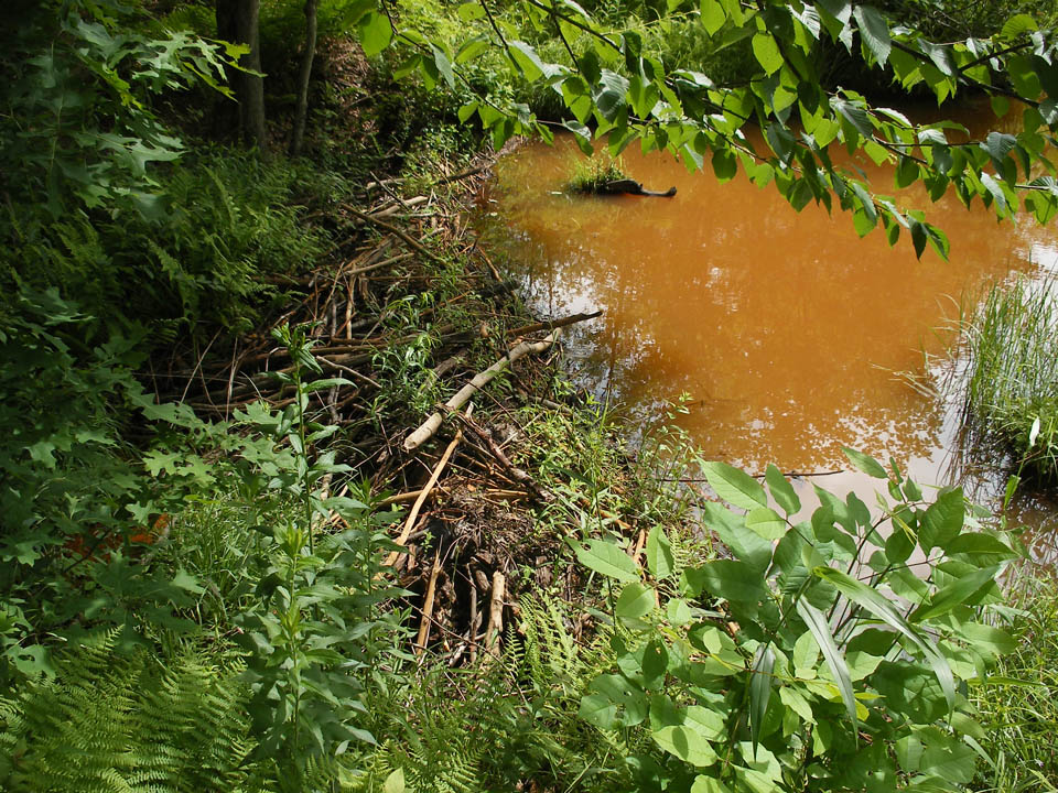 Click to access High Resolution image