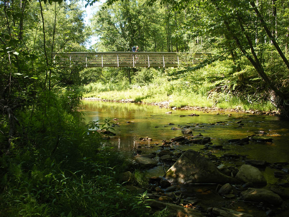 Click to access High Resolution image