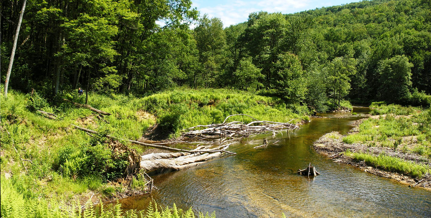 Click to access High Resolution image