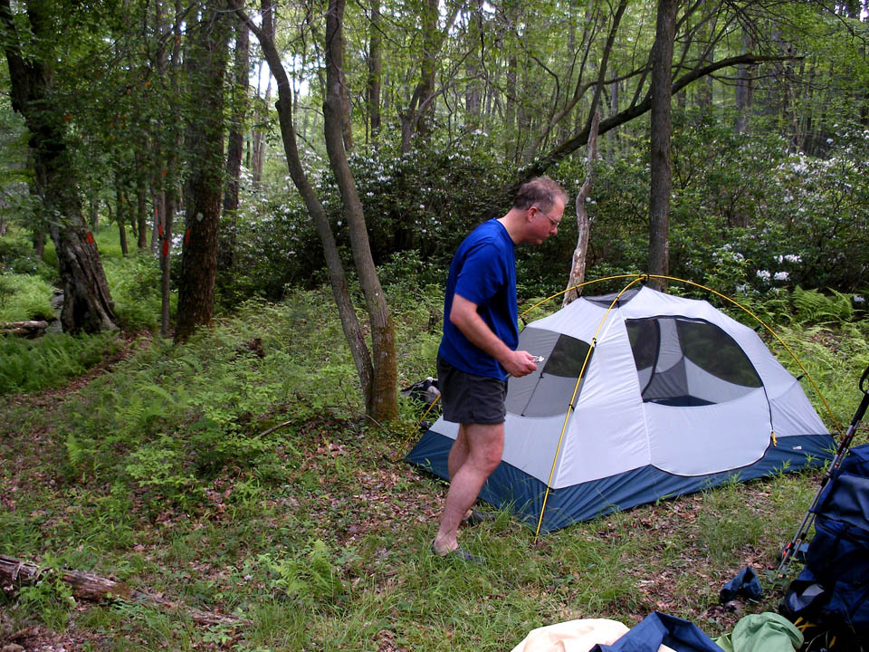 Click to access High Resolution image