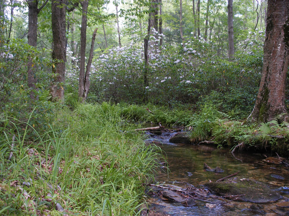 Click to access High Resolution image