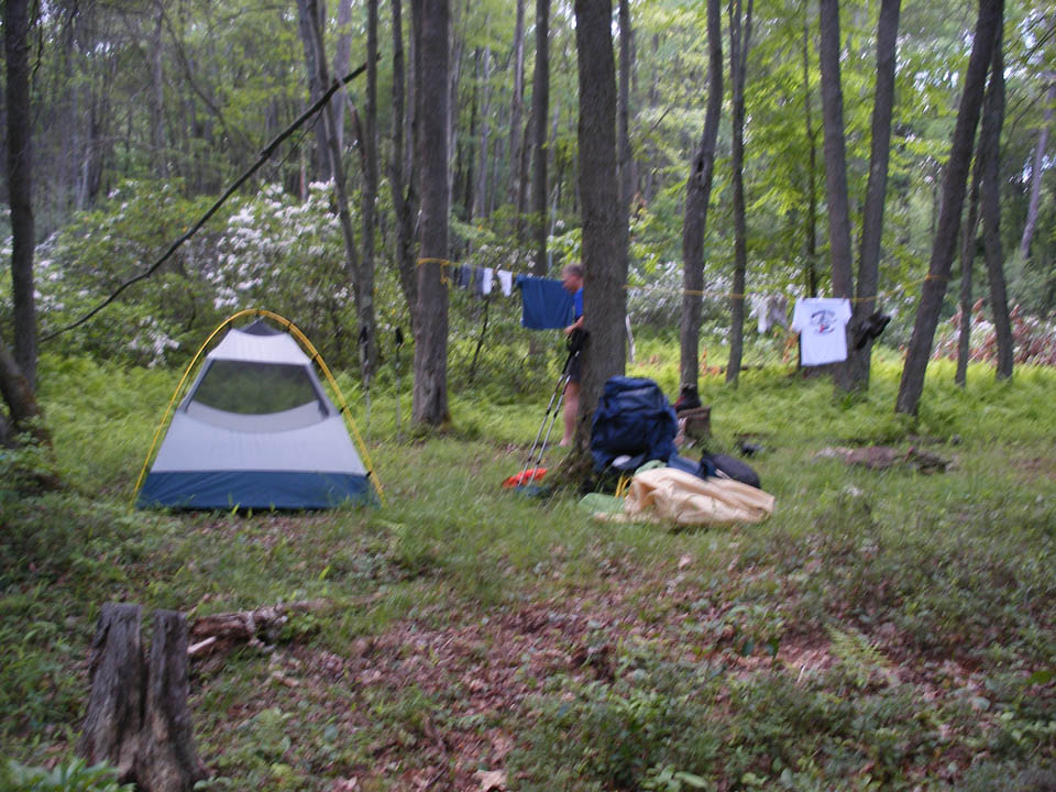 Click to access High Resolution image