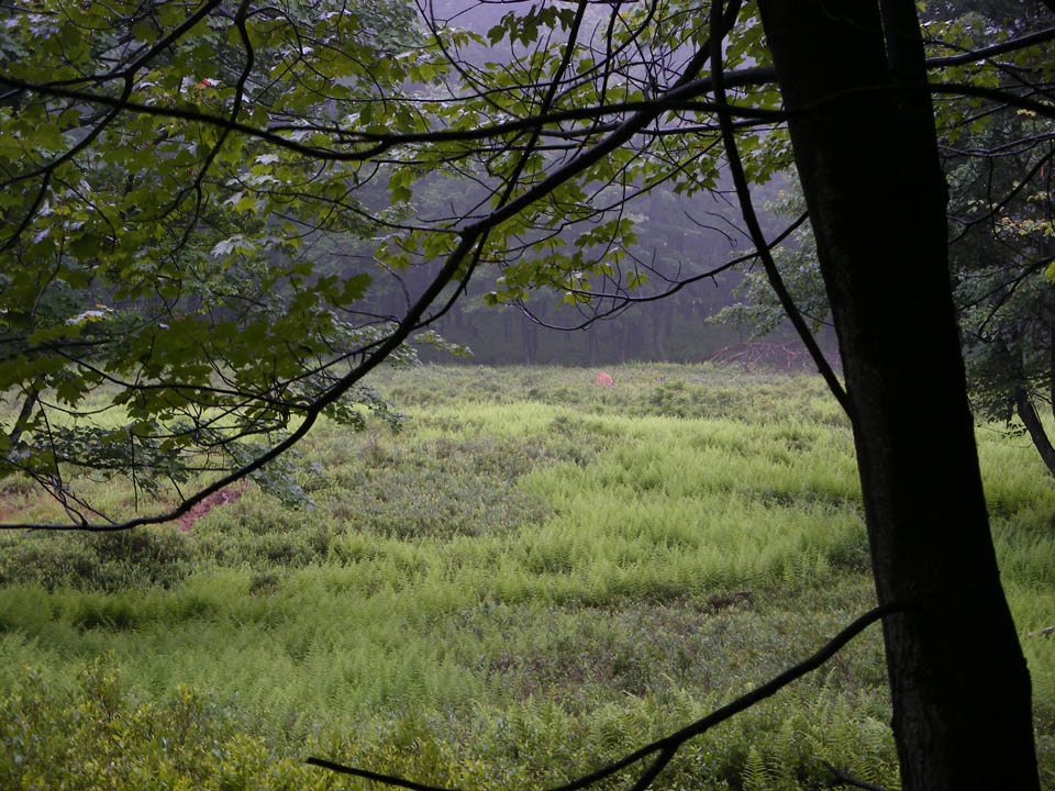 Click to access High Resolution image