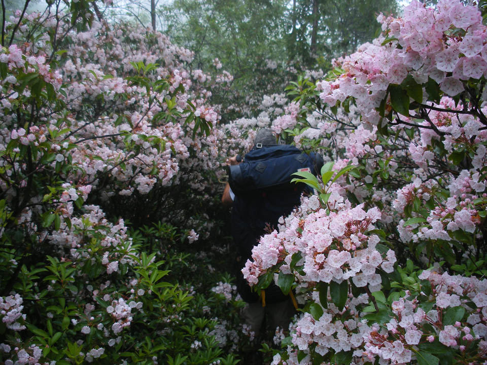 Click to access High Resolution image