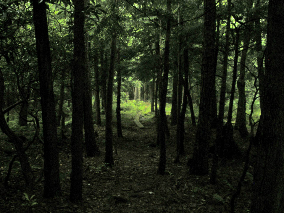 Click to access High Resolution image