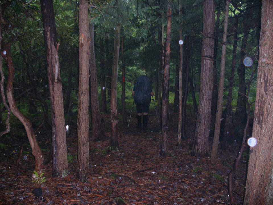 Click to access High Resolution image