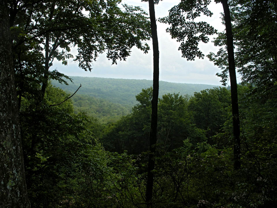 Click to access High Resolution image