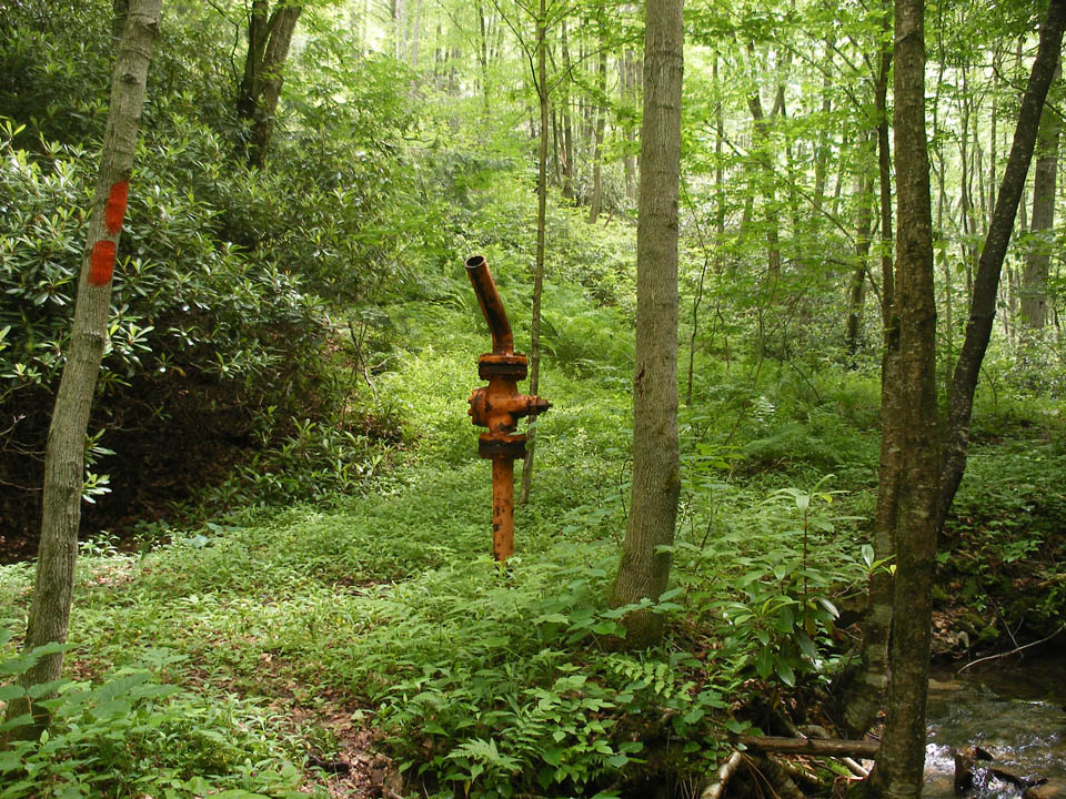 Click to access High Resolution image