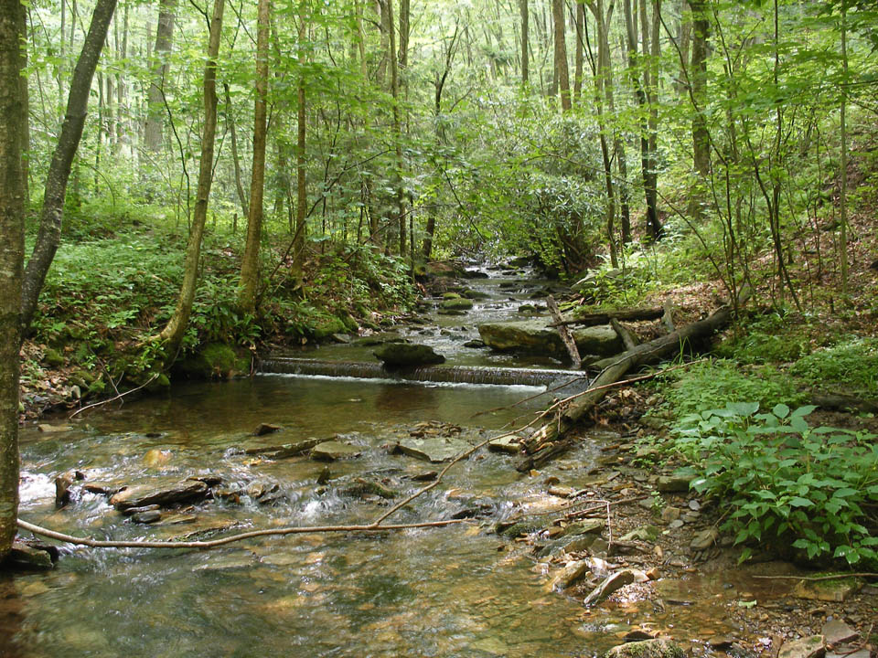 Click to access High Resolution image