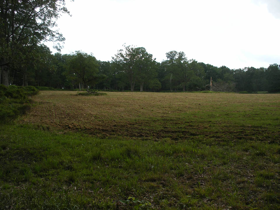 Click to access High Resolution image