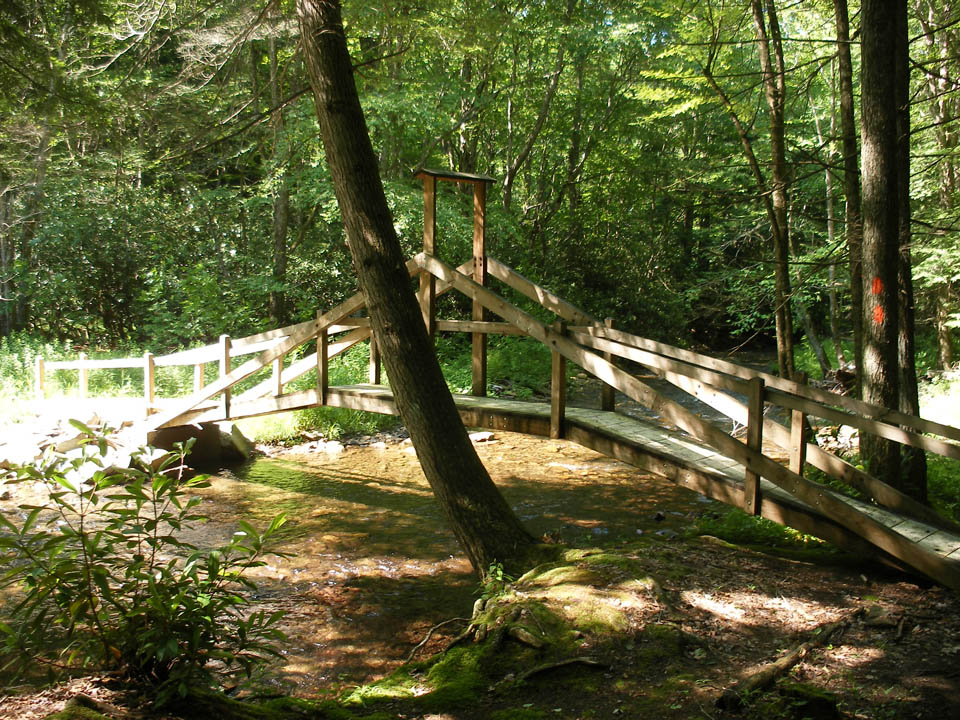 Click to access High Resolution image