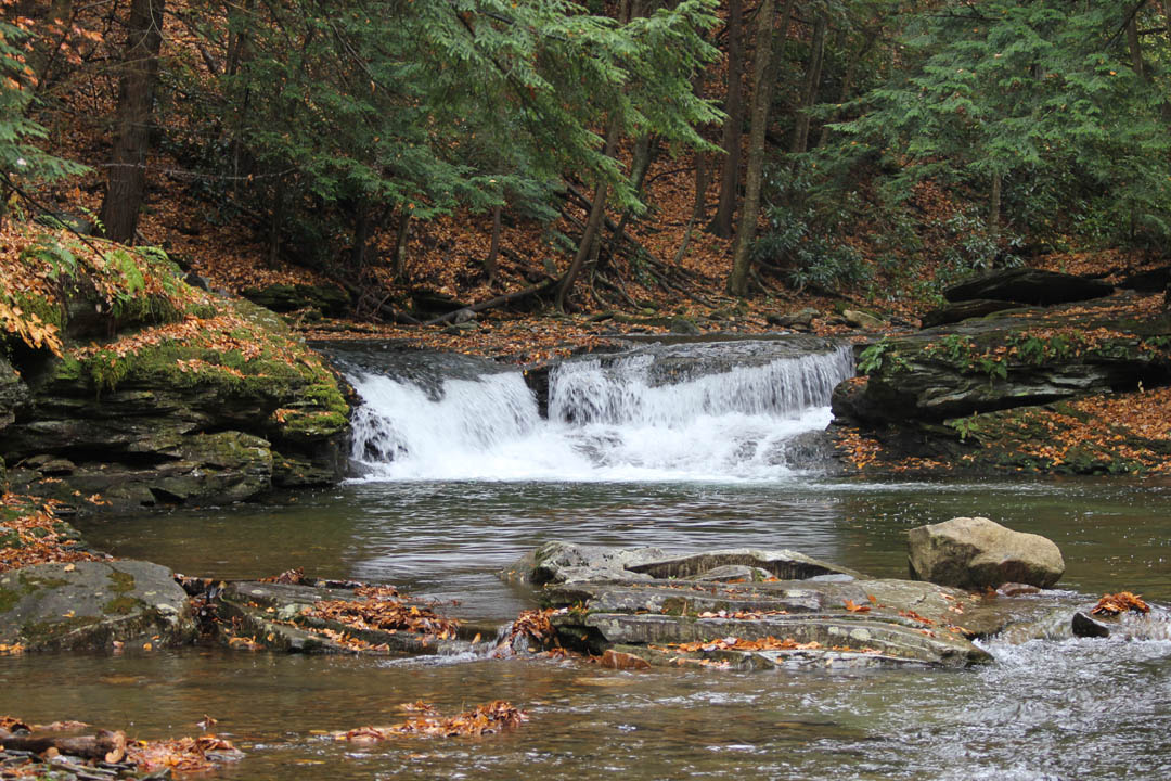 Click to access High Resolution image