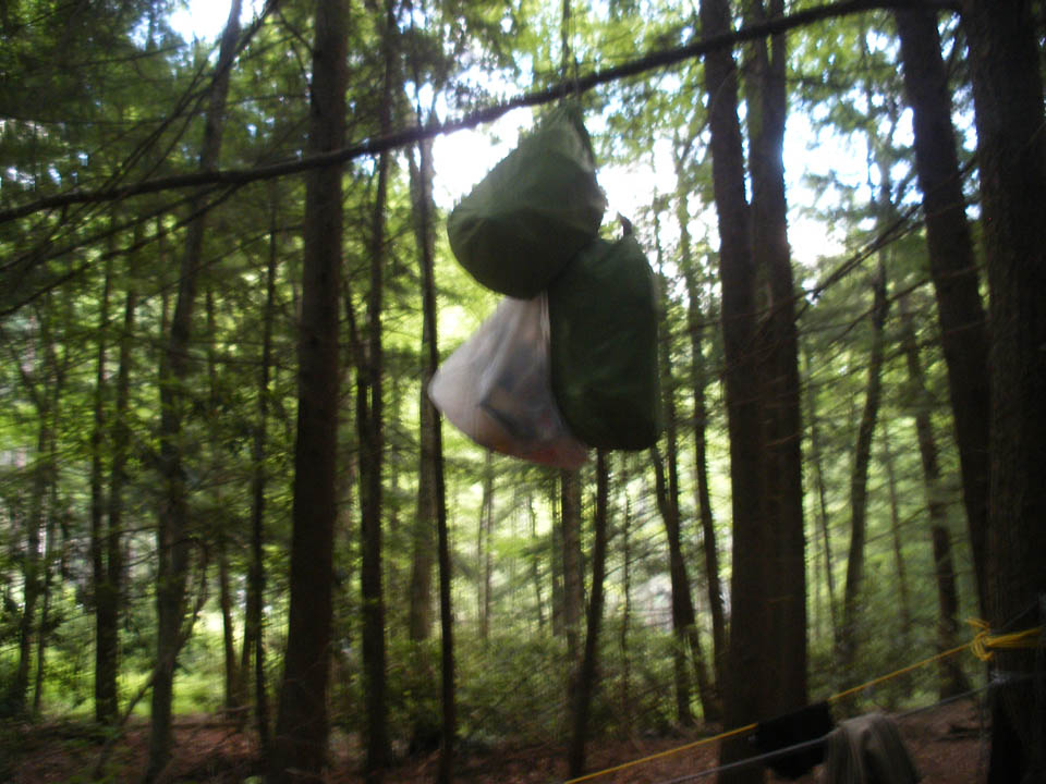 Click to access High Resolution image