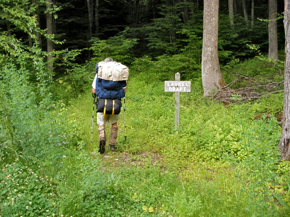 Click to access High Resolution image