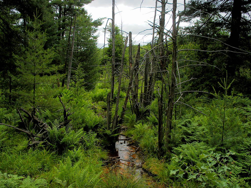 Click to access High Resolution image