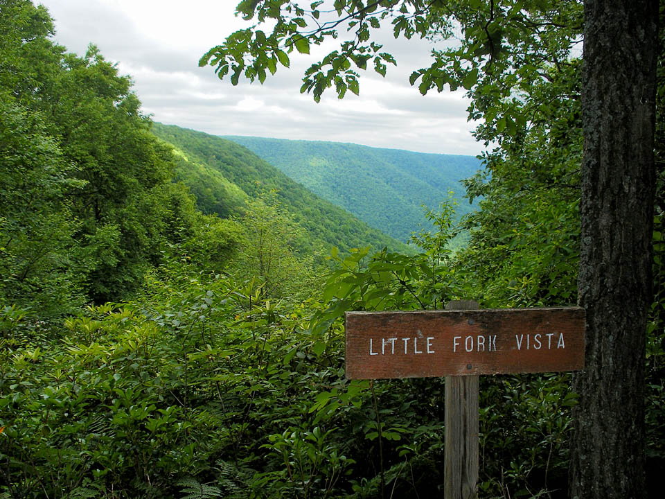 Click to access High Resolution image