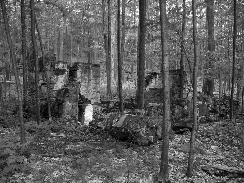 Click to access High Resolution image