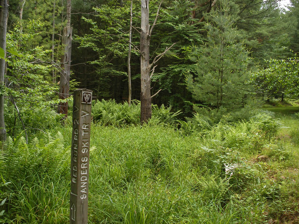 Click to access High Resolution image