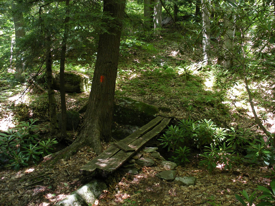 Click to access High Resolution image