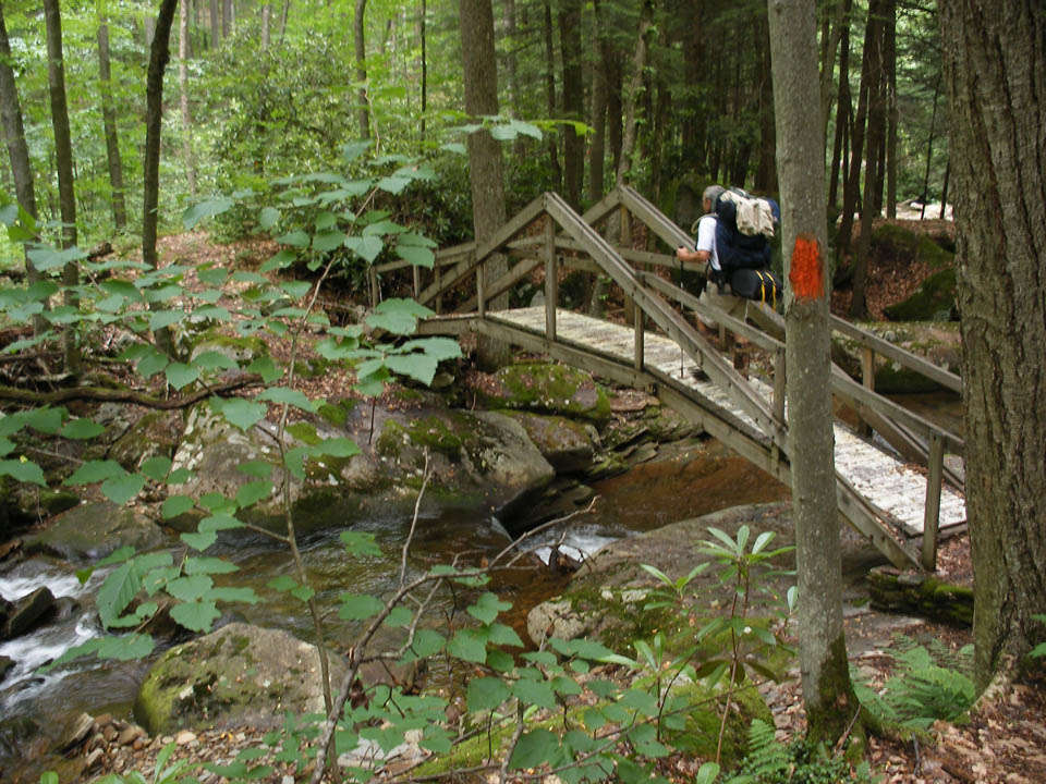 Click to access High Resolution image