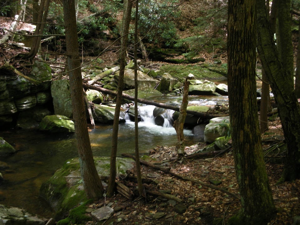 Click to access High Resolution image