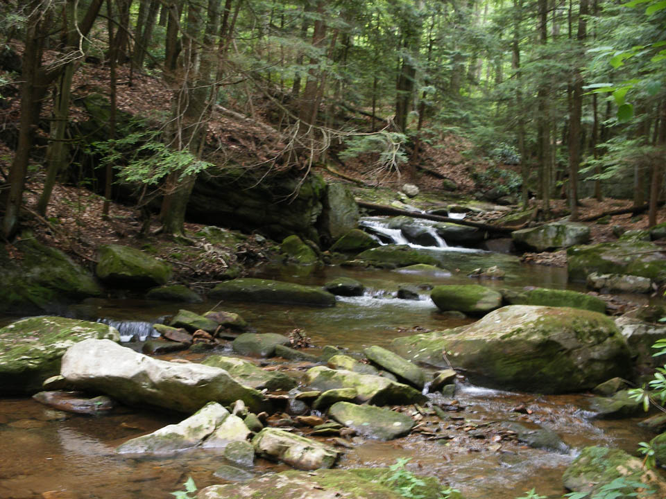 Click to access High Resolution image