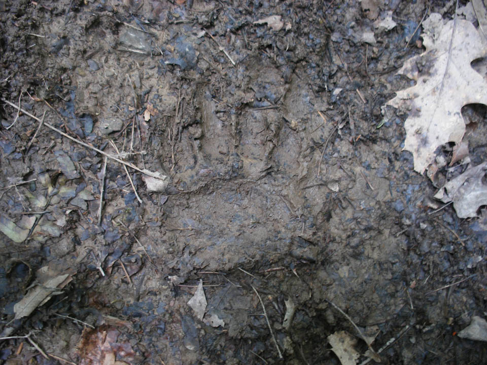 Click to access High Resolution image