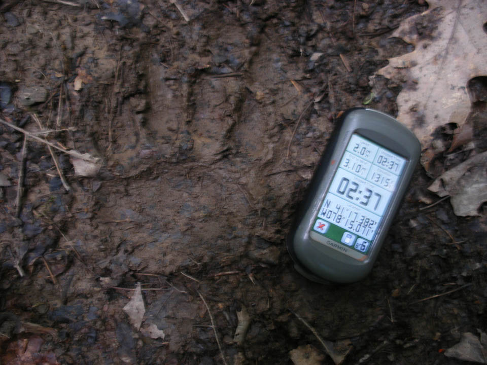 Click to access High Resolution image