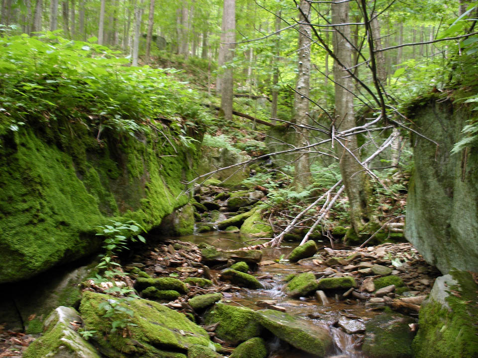 Click to access High Resolution image