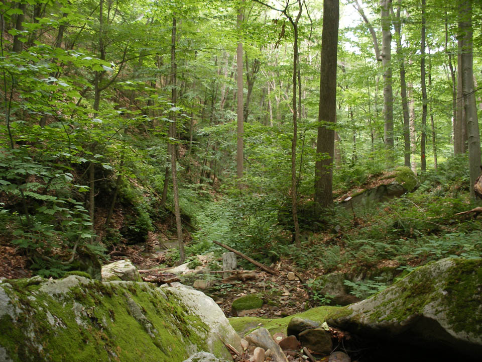 Click to access High Resolution image