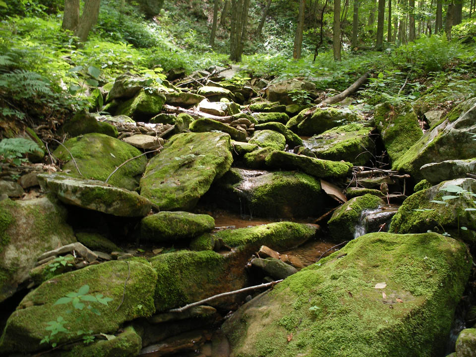 Click to access High Resolution image