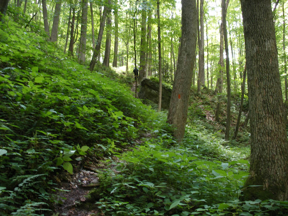 Click to access High Resolution image