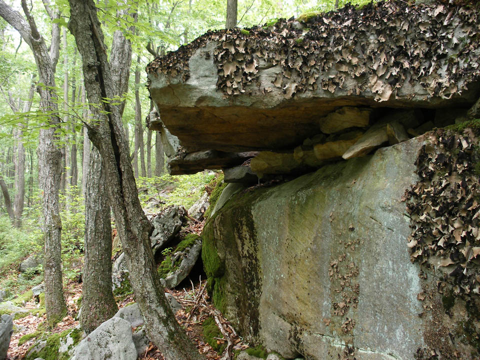 Click to access High Resolution image