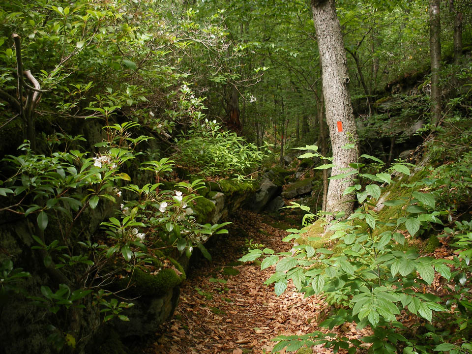 Click to access High Resolution image