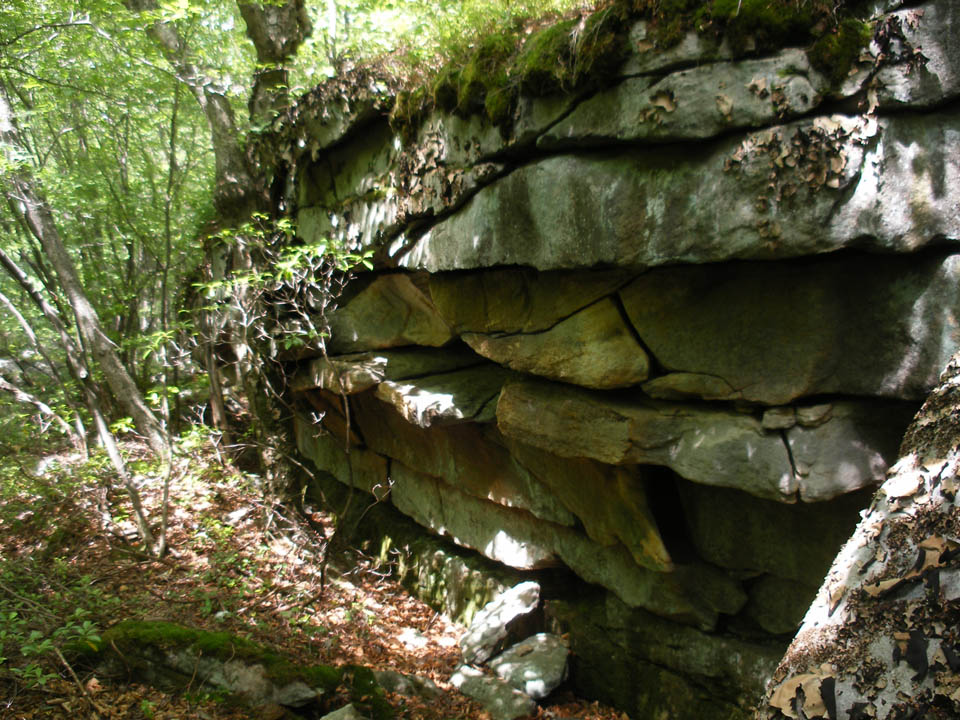 Click to access High Resolution image