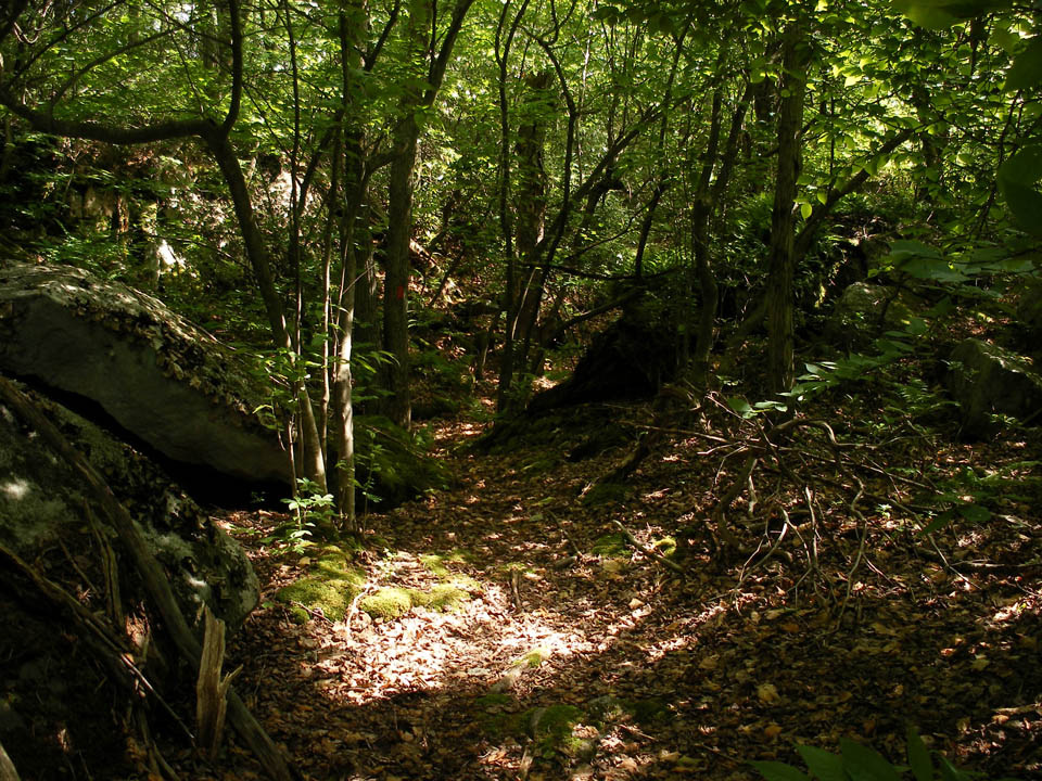 Click to access High Resolution image