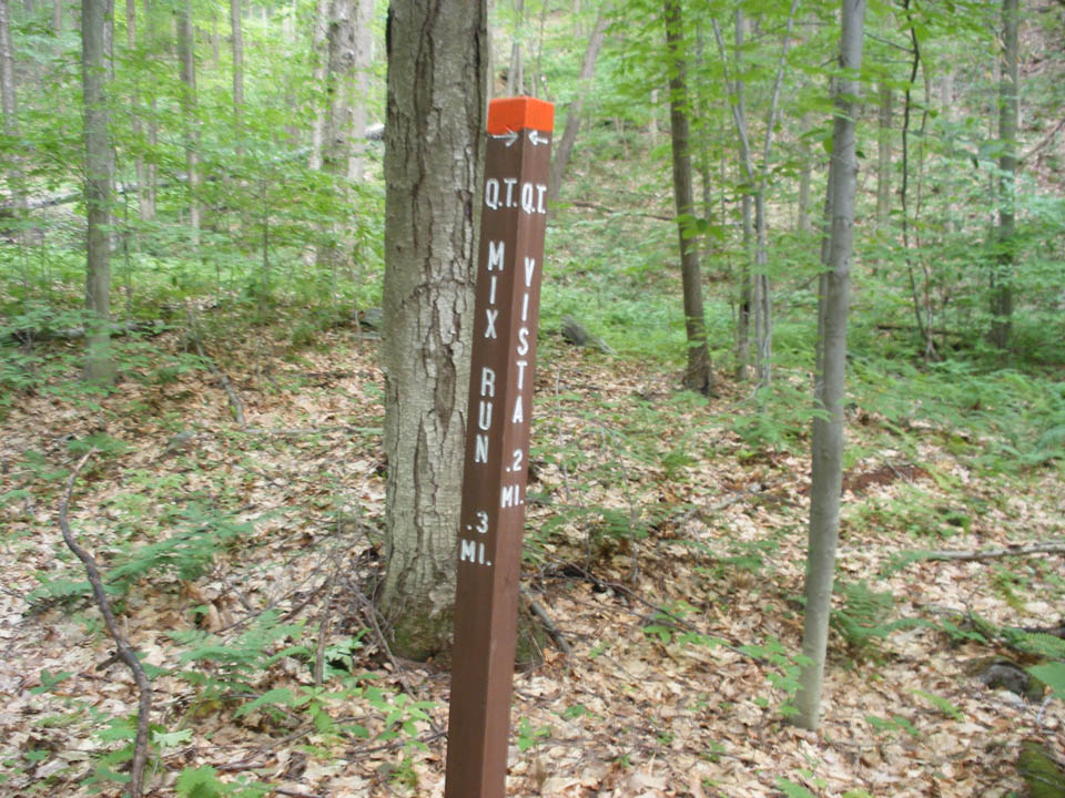 Click to access High Resolution image