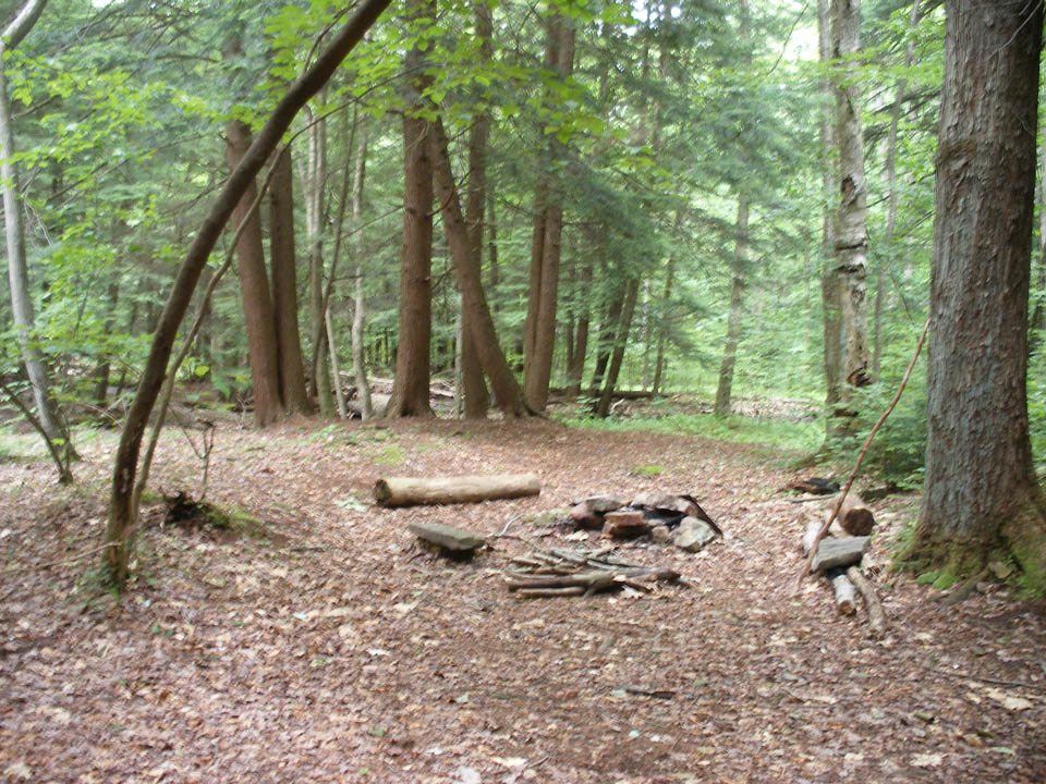 Click to access High Resolution image