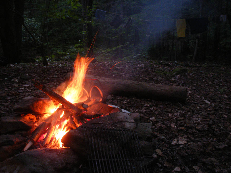 Click to access High Resolution image