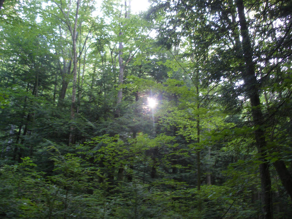 Click to access High Resolution image